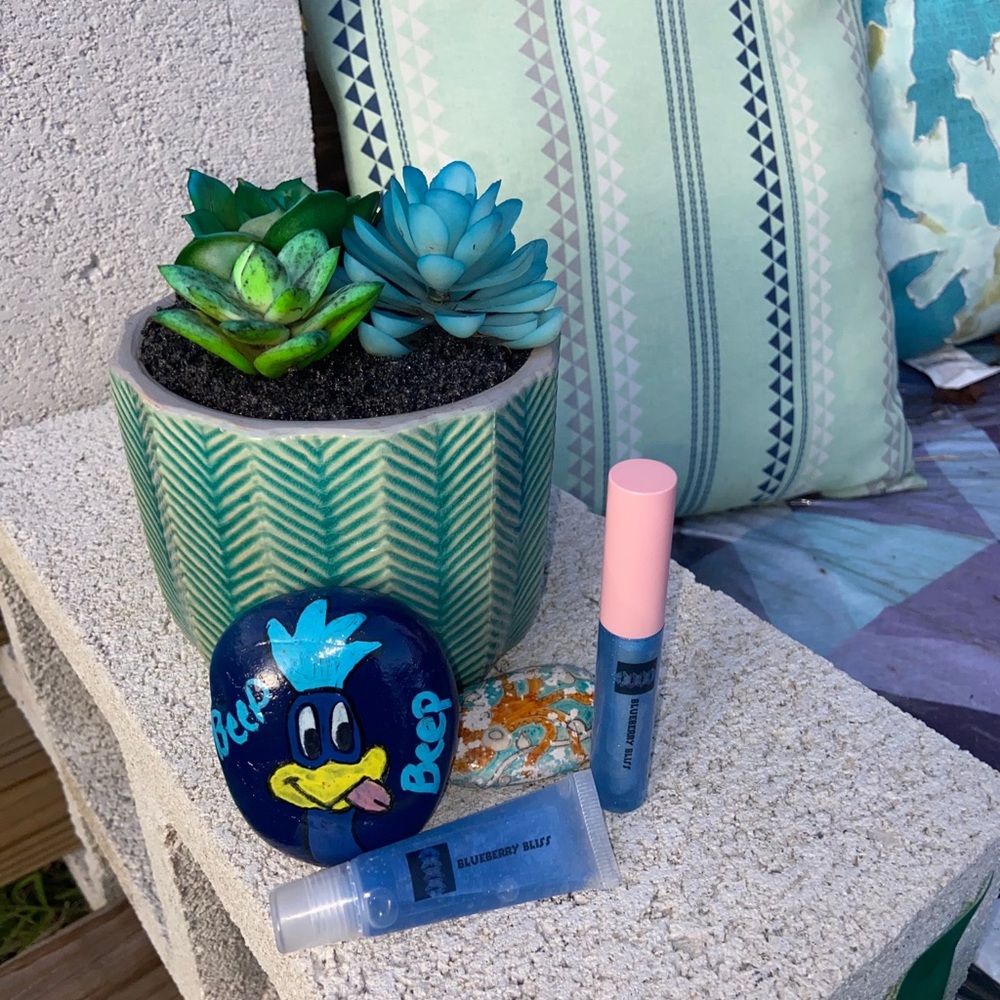 Blueberry Bliss lip gloss